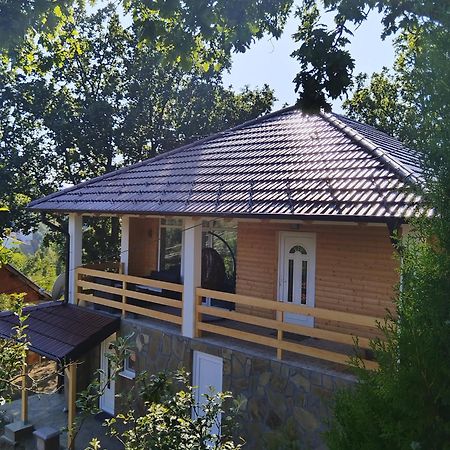 Ferienwohnung Stari Hrast 1 Prolomska Banja Exterior foto